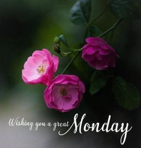 092622 - Great Monday