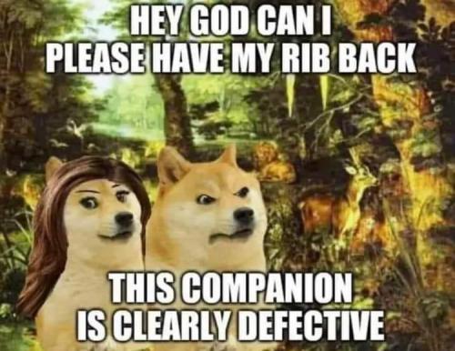 FB_IMG_1663100538295