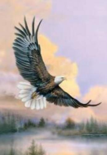 0d1ba348dd13e8a54a996dce4faea2ee