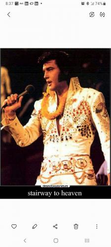 Screenshot_20220825-083739_Gallery