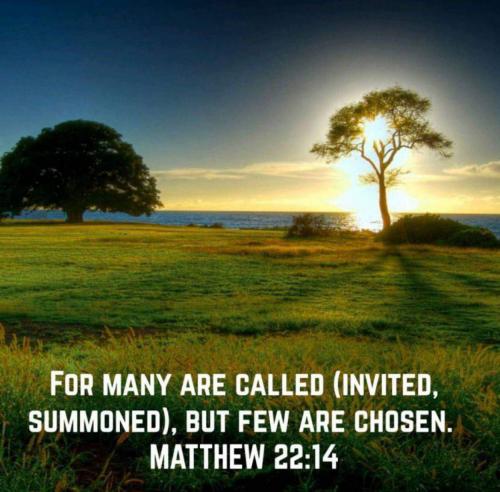 b0792d74-6bae-4e07-be5f-393d0a007494