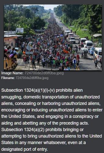 Subsection1324a1ivAlienSmuggling
