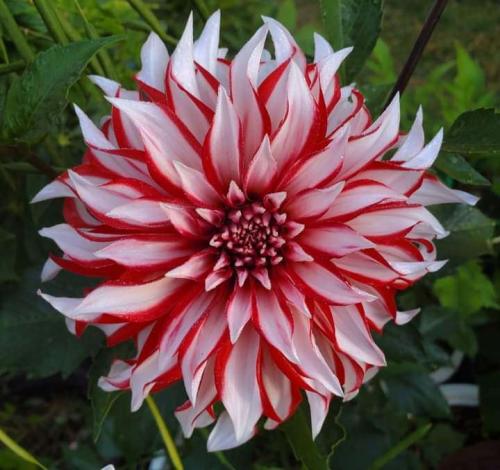 9ba57f07-a5ae-46dd-a8e0-f573d5c30709