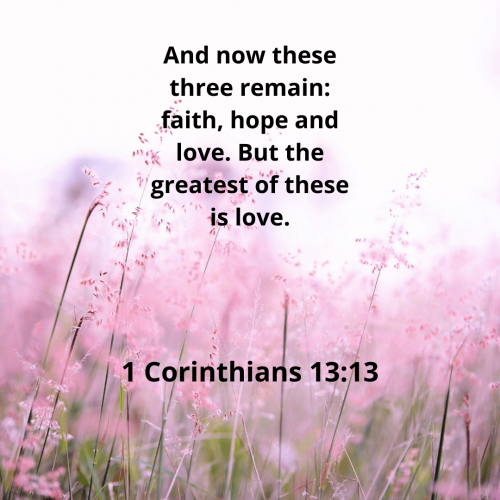 E70192FCE6719E7286E8D10EA0050386.bible43-min