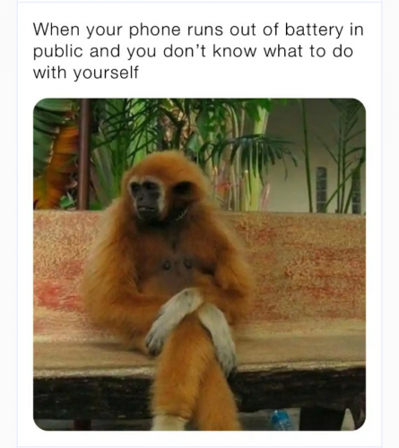 img-3