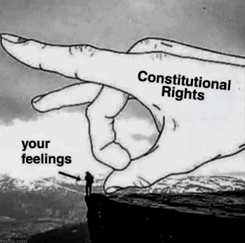 AA Constitutional rights