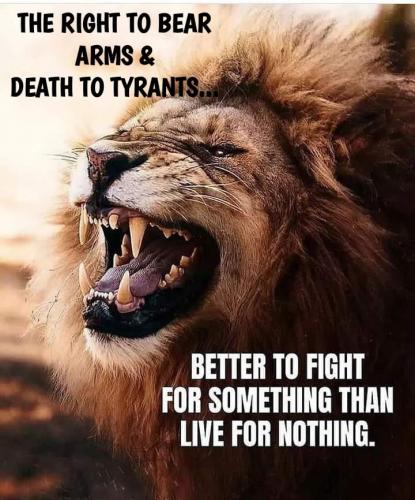 306155555_406845978228623_637297245296874826_n