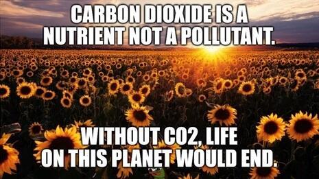 carbon dioxide