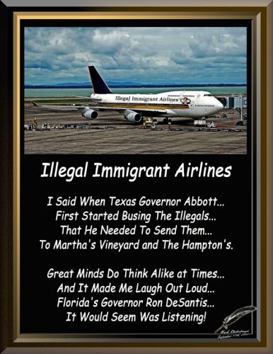 Illegal Immigrant Airlines