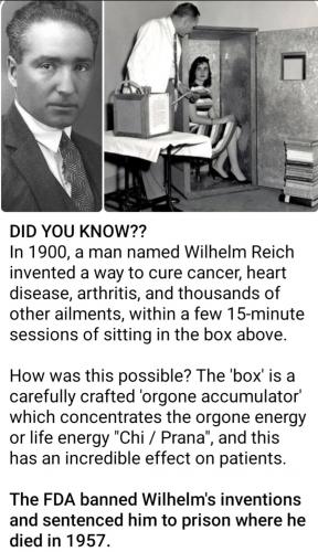 Screenshot_20220930-045007_Gallery