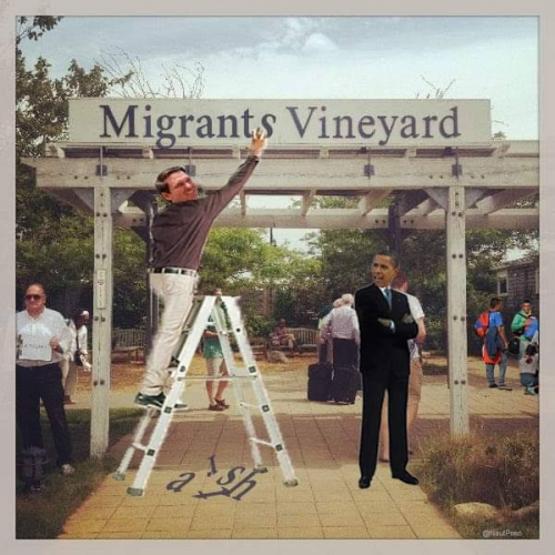 MIGRANTS VINEYARD