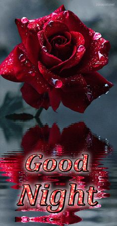 1568700eb8a1db5ca73363b1ce782ebd