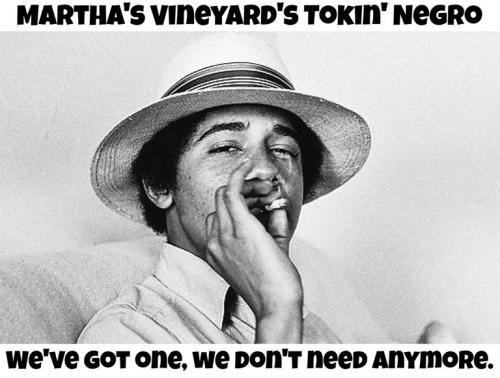 Marthas Vineyard tokin nigger 768px