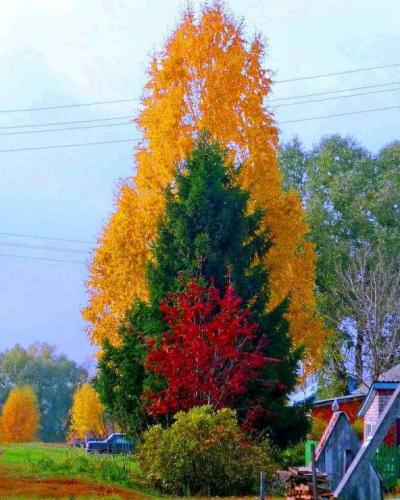 5f7f0953-6bc4-4462-991f-1783e08a7507