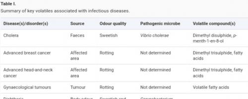 vax smells