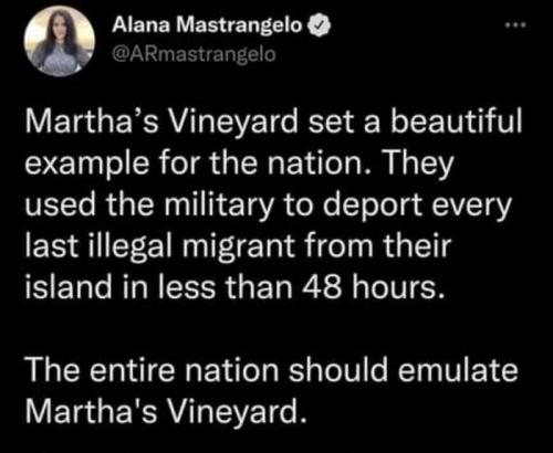 sngine_2969a93f337dc73773296574352dd4f9