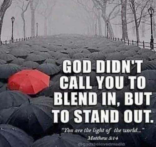 Screenshot_20220914-034857_Gallery