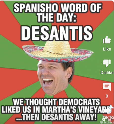 imagedesantis