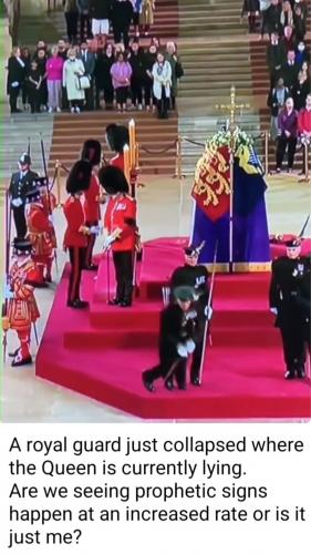 Screenshot_20220915-104905_Gallery