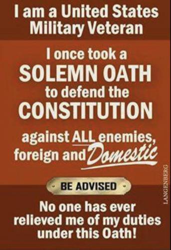 vet + constitution