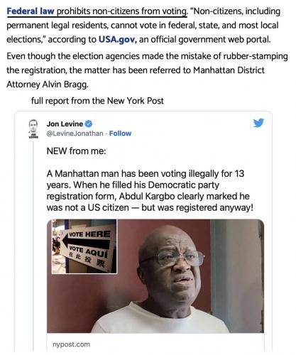 Fed non citizens vote