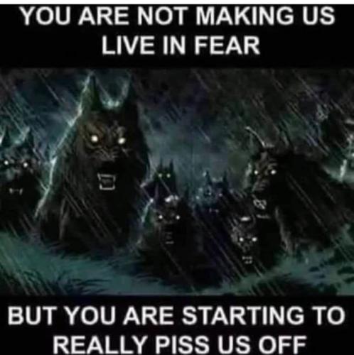 302676386_5971755576185613_335147938458253191_n