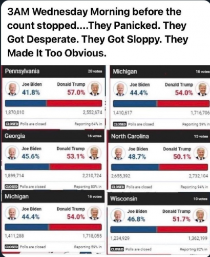 VOTER FRAUD NOVEMBER