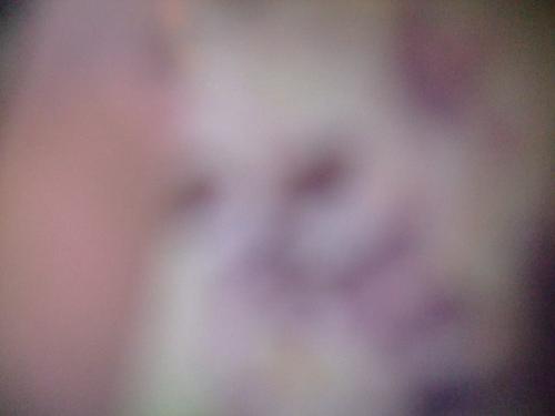F087195F-FACB-4A23-A5F9-F04058255822