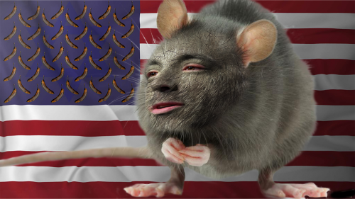 581d82c8994a1b53