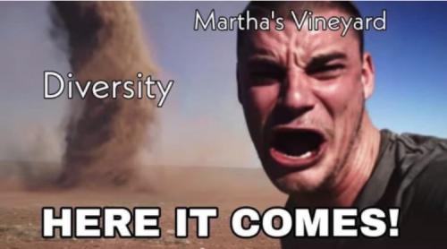 Martha's Vineyard - Diversity - Here it comes