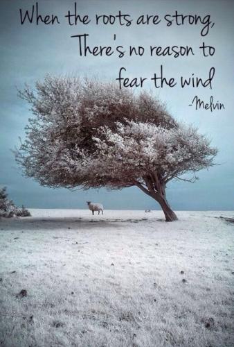 5bb74b80-86ef-49b5-ae15-5f49a2a42886