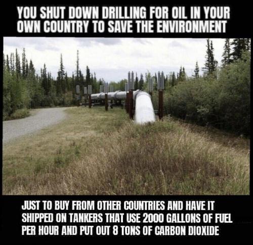 cost of oil