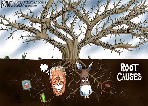 M root causes