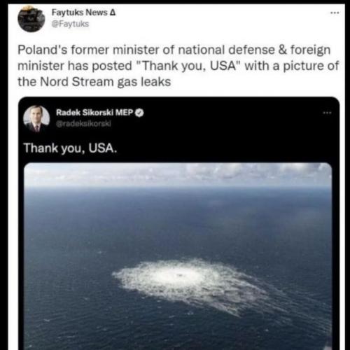 tumblr_06ebda64304acc67760cf8c50ac62e0e_0d1b10d1_640