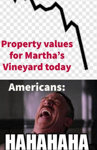 f1a47b51-3cd8-40a5-97d8-218c57a10d76