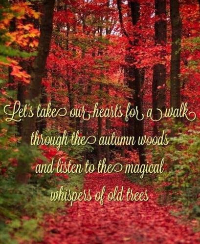 8d0fa6c0-4cb2-4490-a872-49d053225148