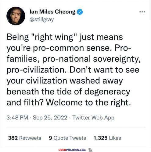 i-am-right-wing