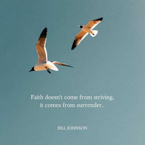 ae778310-e3ac-40dc-be66-1e9f499a7c94