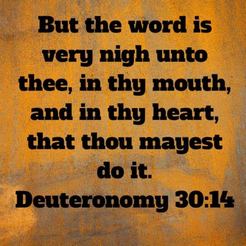 ba61abac9877cc6fb7c76d7e15f079e1