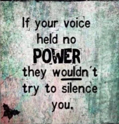 FB voice