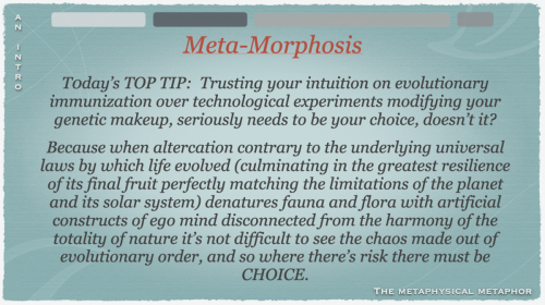 Screen Shot 2022-09-03 at 10.31.03 AM