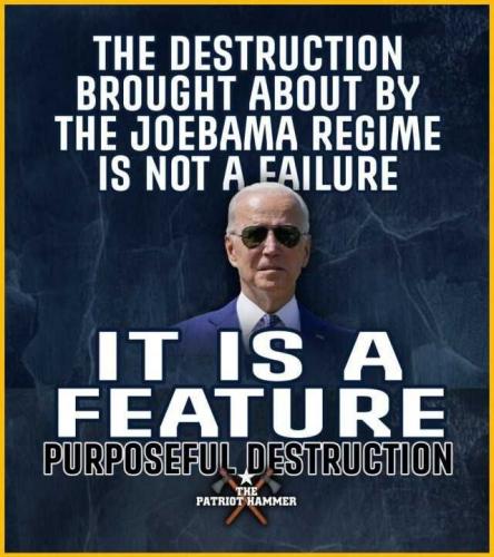 USA purposful destruction