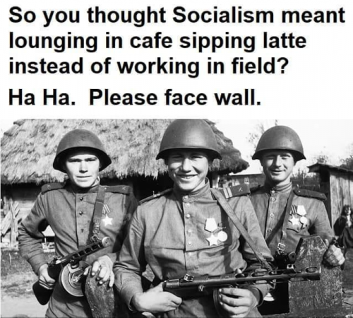 M Socialism