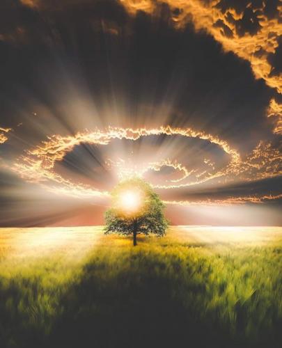 Sunrise - “𝐸𝑣𝑒𝑟𝑦𝑑𝑎𝑦 𝑎 𝑚𝑖𝑙𝑙𝑖𝑜𝑛 𝑚𝑖𝑟𝑎𝑐𝑙𝑒𝑠 𝑏𝑒𝑔𝑖𝑛 𝑎𝑡 𝑠𝑢𝑛𝑟𝑖𝑠𝑒.”