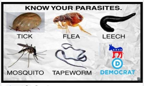 Parasites