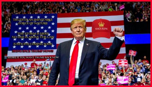 1-1-A-A-A-A_1-A-A-A-A-A-A-2020-A-A-A-A-BIDEN-A-DEVIL-1-TRUMP-A-LION-TRUTH-NATURE-FINAL