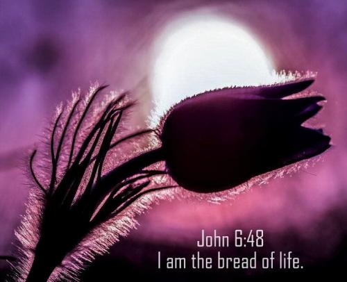 090422 - John 6-48 Bread of life