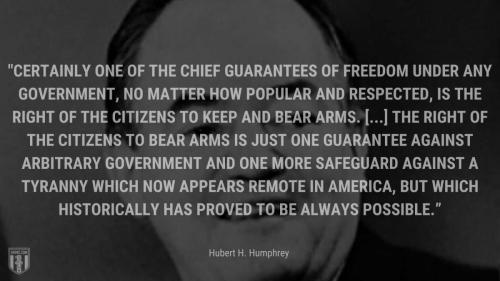 USA bear arms