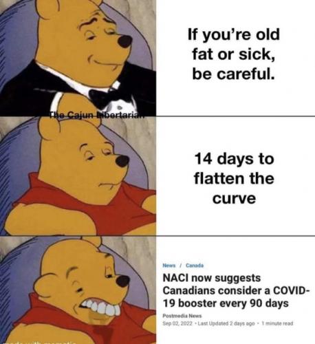 99195c552c217773