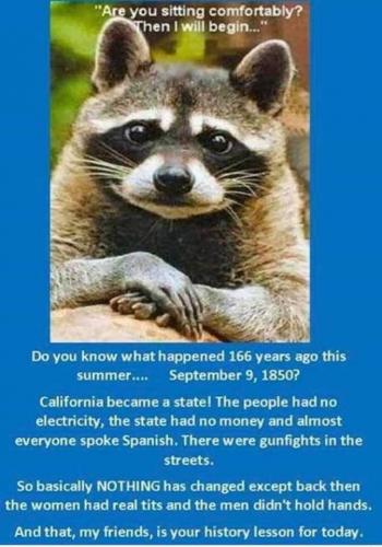 FB_IMG_1662775386397